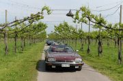Le Jaguar nella zona del Prosecco e Cartize (131/152)
